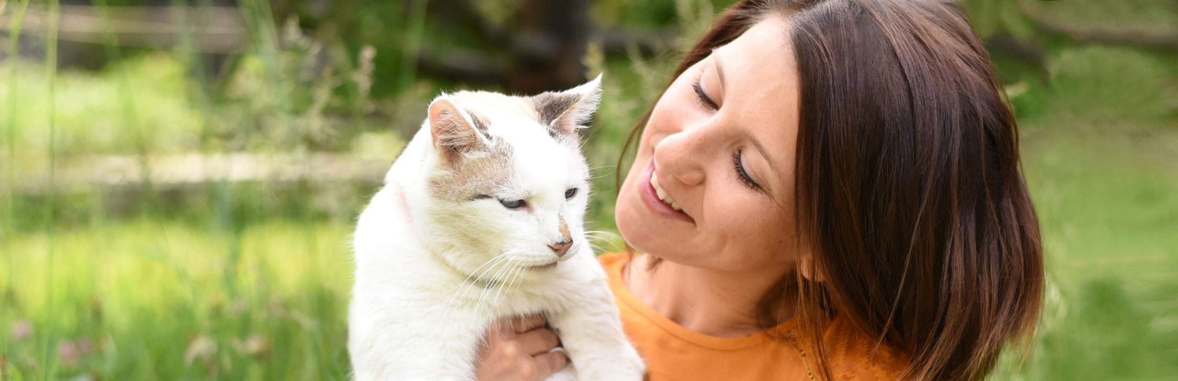 Madame Moustache, spécialiste du comportement du chat, comportementaliste chat, relation humain-chat, formation du Monde du chat, associations de protection des chats, famille d'accueil pour chats, Lausanne, Canton de Vaud, Suisse